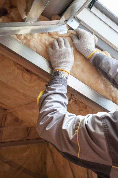 Best Geographic-Specific Insulation Services in Sleepy Hollow, IL